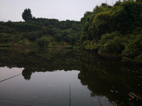 如何選釣位以及水深？迷惑眾多，懇請大師指點迷津