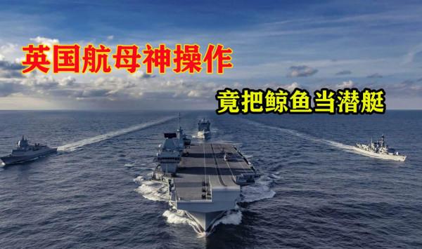 英國航母&quot;神操作&quot;，將鯨魚當敵人潛艇，連續炸死好幾條