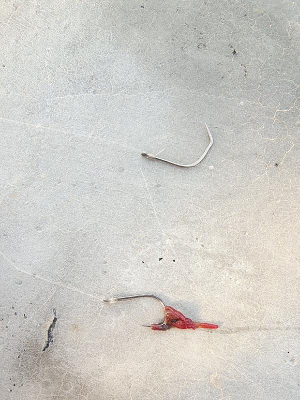 萬事俱備只欠東風，小炮之行拭目以待