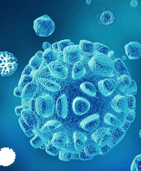 天氣變涼後,更要做好廚房除菌 天氣變涼後,更要做好廚房除菌