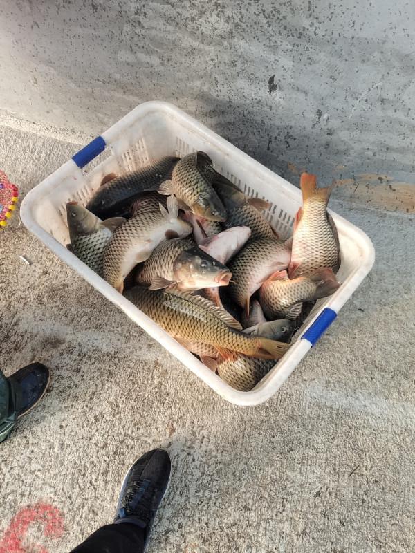 萬事俱備只欠東風，小炮之行拭目以待