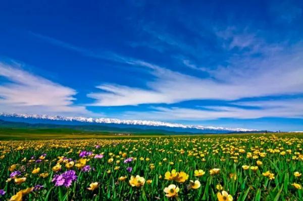 新疆那拉提草原風光 新疆那拉提草原風光