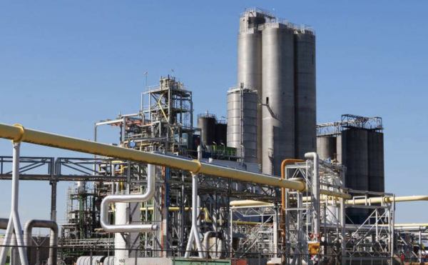 山東出現一位新富豪:打造農藥製造領先企業,身家35億 山東出現一位新富豪:打造農藥製造領先企業,身家35億