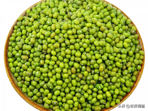 中醫專家提醒：藥補不如食補！這些食物是“腸道清道夫”