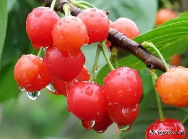 十首流傳久遠的經典古詩詞，對比鮮明，技法高超，值得欣賞和收藏