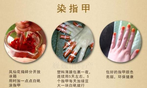 六種帶&OpenCurlyDoubleQuote;毒&rdquo;的花，家裡經常養，越漂亮毒性越大，你養過幾種？