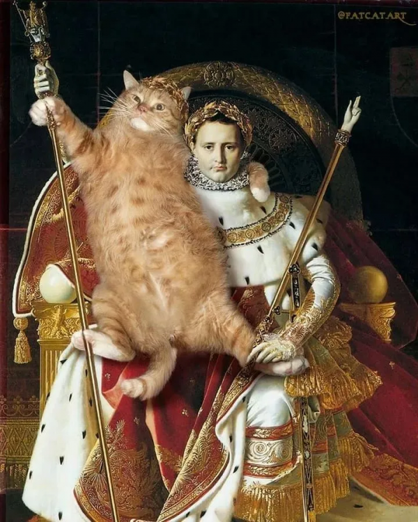 懷抱橘貓的蒙娜麗莎,微笑都變甜了 懷抱橘貓的蒙娜麗莎,微笑都變甜了