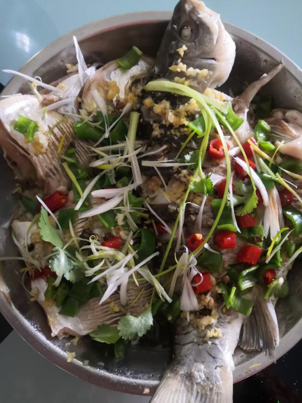 梅姐成功霸佔老公釣位,迎來新年開門紅 梅姐成功霸佔老公釣位,迎來新年開門紅