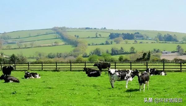 失去母語的民族：愛爾蘭人為何拋棄愛爾蘭語，以說英語為榮？