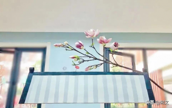 幼兒園新中式環創合集，充滿了江南水鄉的儀式感，孩子們最喜歡了