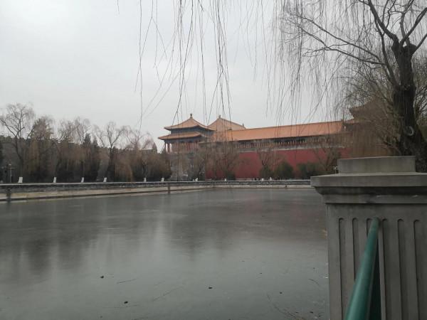 美麗的中山公園