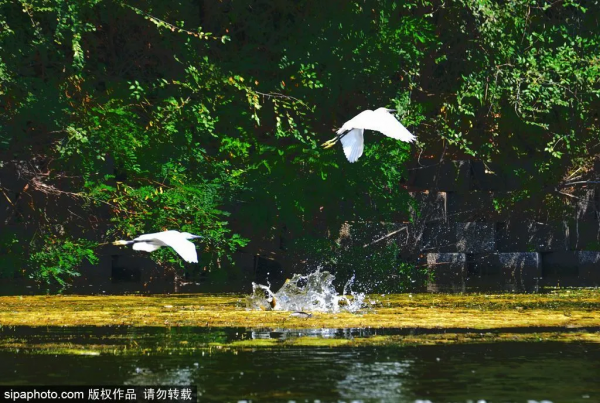 安排!一天假期也精彩,不容錯過的京郊賞秋勝地 安排!一天假期也精彩,不容錯過的京郊賞秋勝地