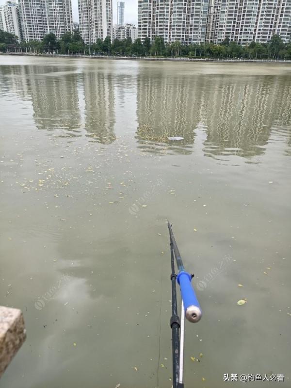 歷經一番驚險刺激的操作，小鉤成功博大魚一條……