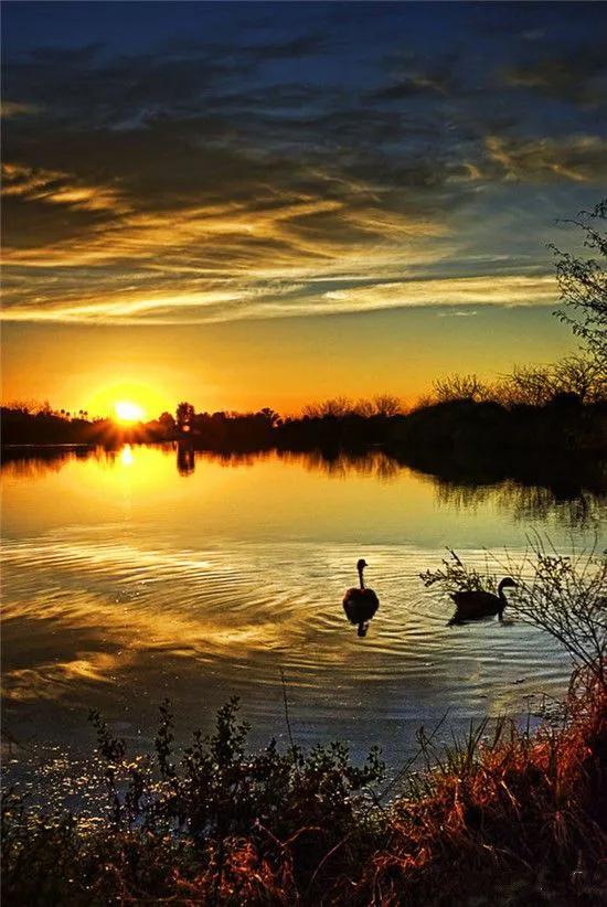 分享圖片&mdash;&mdash;天然純淨的風景集錦