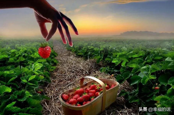 地球上的天堂美景