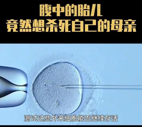 “十月懷胎”竟然是一場無情的戰爭 “十月懷胎”竟然是一場無情的戰爭