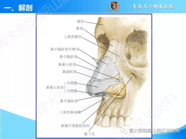 頭頸五官CT斷層解剖圖及常見病影像診斷
