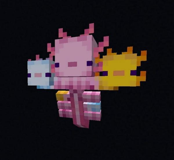 美西螈會哭泣？我的世界：關於美西螈，你可能不知道的16件事