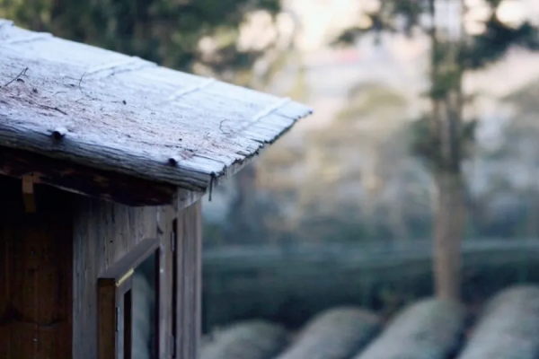 九九消寒，最適合做這些風雅小事