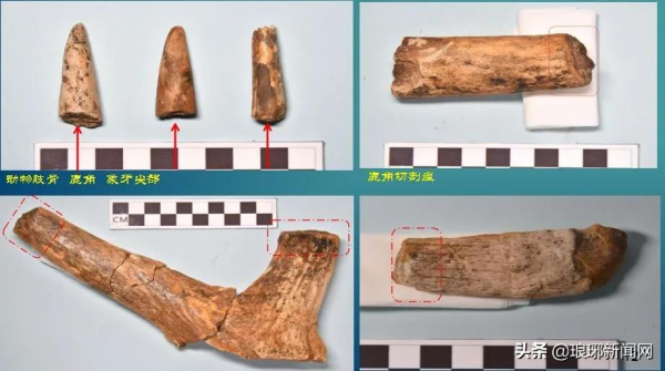 臨沂，重大發現！距今9.9萬年！在世界範圍內也極為罕見