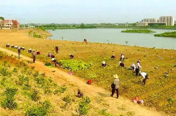 湖北這個湖心島上的旅遊小鎮,解決跨界攬客,古鎮有妙招 湖北這個湖心島上的旅遊小鎮,解決跨界攬客,古鎮有妙招