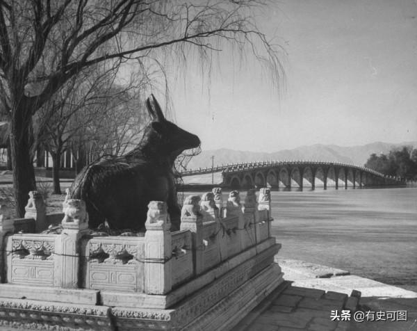 1946年的午門外停滿了汽車，太和殿上放著袁世凱的“西洋寶座”