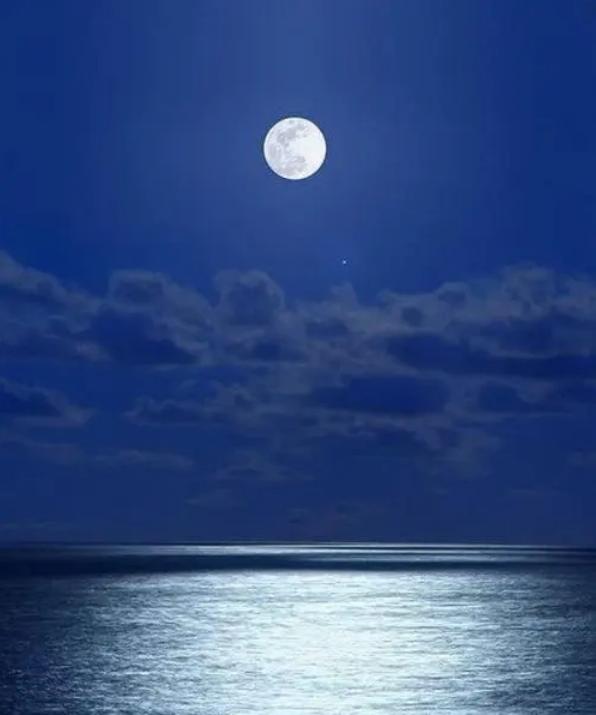 最舒服的人際關係是不討好,各自帶著涼薄 最舒服的人際關係是不討好,各自帶著涼薄