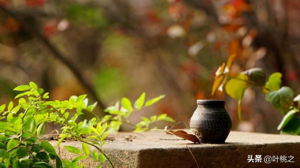 “親戚借錢買房，拒絕後翻臉”：有些關係，不必精心維護