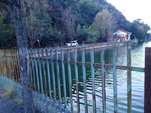 新年首釣的快樂，無非是真“打龜”了