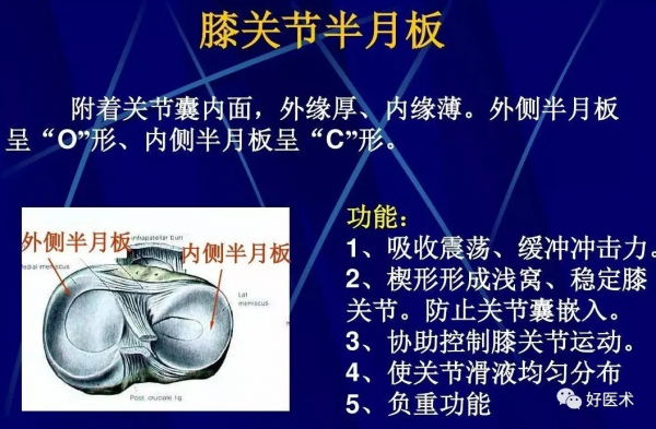 86張全身關節應用解剖精講，這篇文章值得收藏
