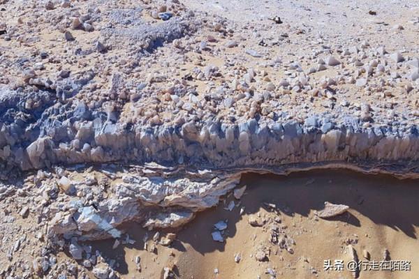 沙漠牧民的無奈:有家不住非要不斷遷徙,不認國籍不守法律 沙漠牧民的無奈:有家不住非要不斷遷徙,不認國籍不守法律