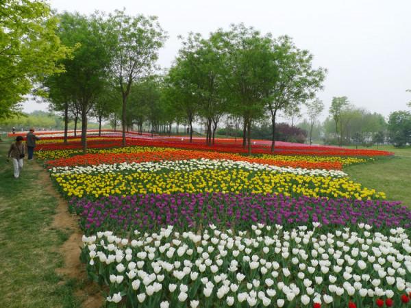 訪古探幽話順義 訪古探幽話順義