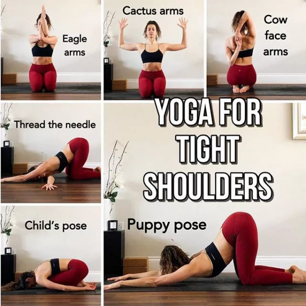 哈他瑜伽序列編排技巧，另附25個經典序列圖解，收藏級