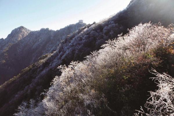 龜峰山現霧凇奇觀 龜峰山現霧凇奇觀