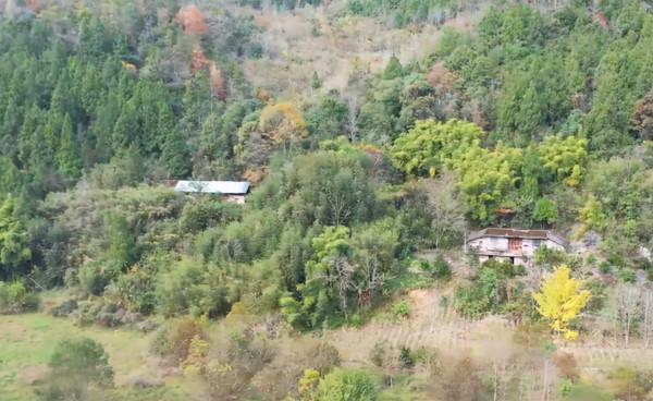 湖北深山發現百年渡口，一家4代人擺渡140多年，村民過河分文不取