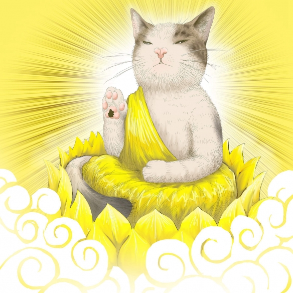 網友曬出氣場超乎想象的喵星人：眼神裡自帶殺氣