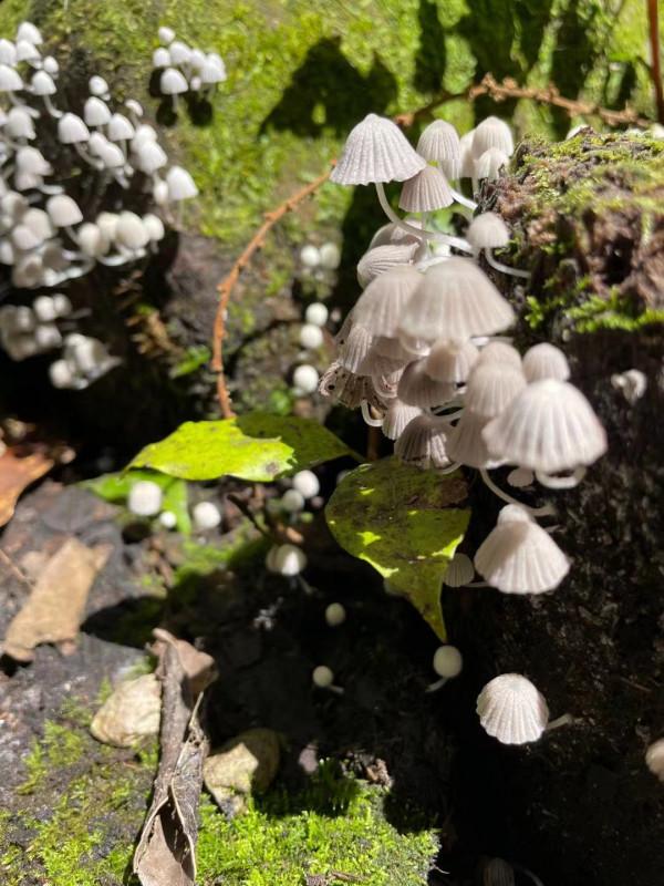 看，這就是深藏在貴州深山布依族村寨生活中的好滋味