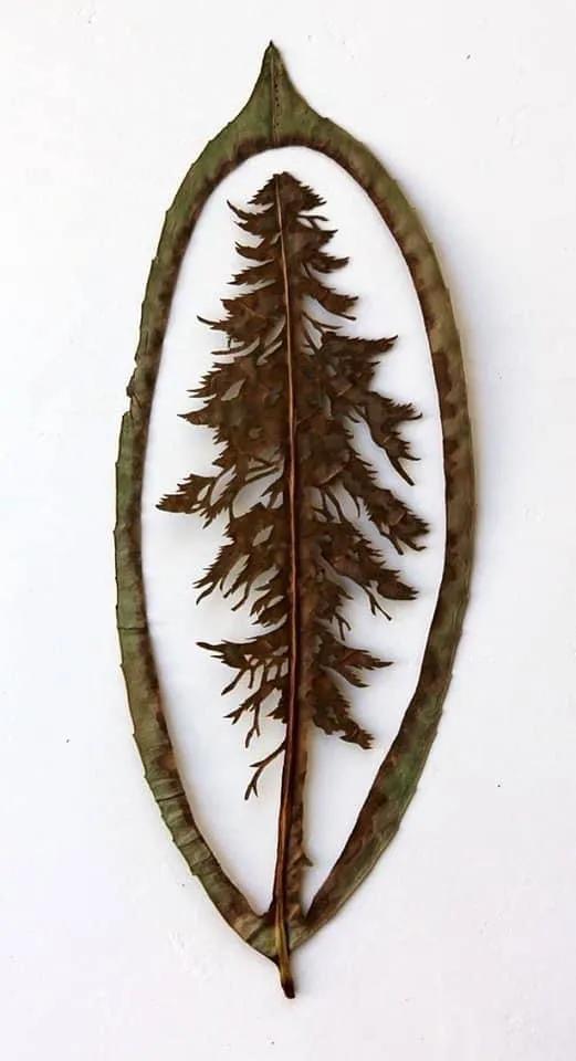 一葉知秋,一葉一世界 一葉知秋,一葉一世界