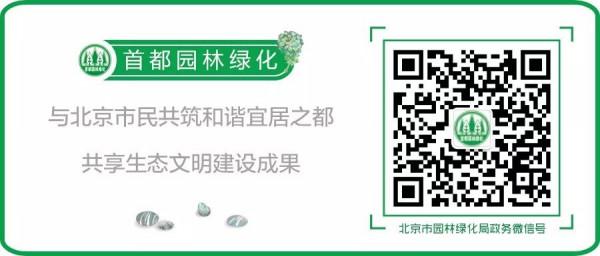 候鳥飛過“餐廳”竟不落腳 候鳥飛過“餐廳”竟不落腳