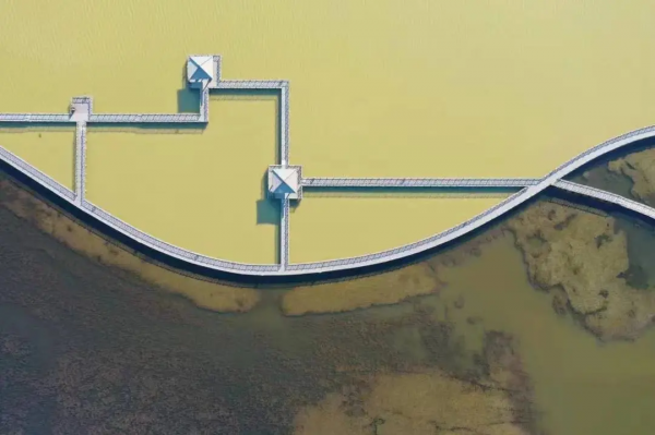 這裡畫了個圈!黃河口國家公園總體規劃圖官宣 這裡畫了個圈!黃河口國家公園總體規劃圖官宣