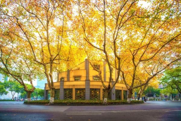 一入秋，南京就成了金陵