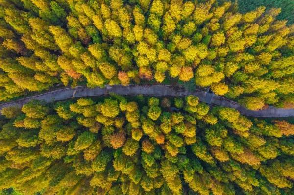 冬日暖陽之下體驗廣東碧道之美