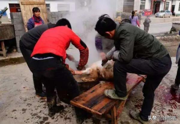 過去農村一到過年有很多人收豬毛，為啥如今沒人收了？4個原因