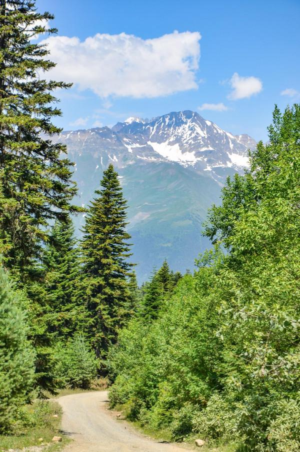 夏天住在滑雪場是一種什麼體驗？腦子有坑？還好我看到了絕美風景