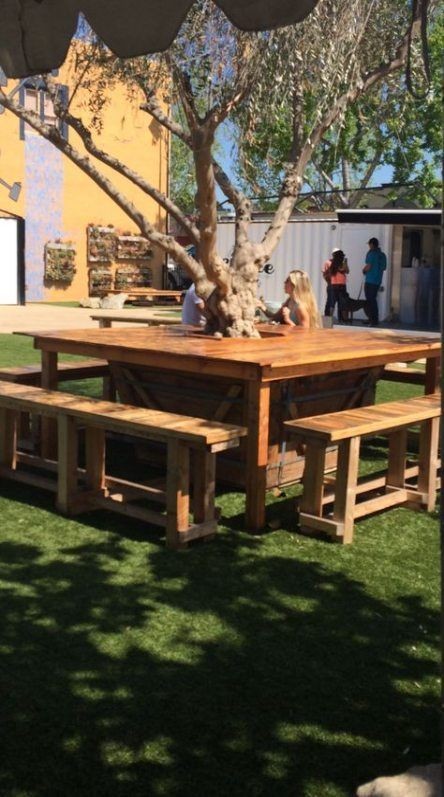 院子裡要是種了樹，就在底下圍一圈卡座地臺，睡覺乘涼給院子加分