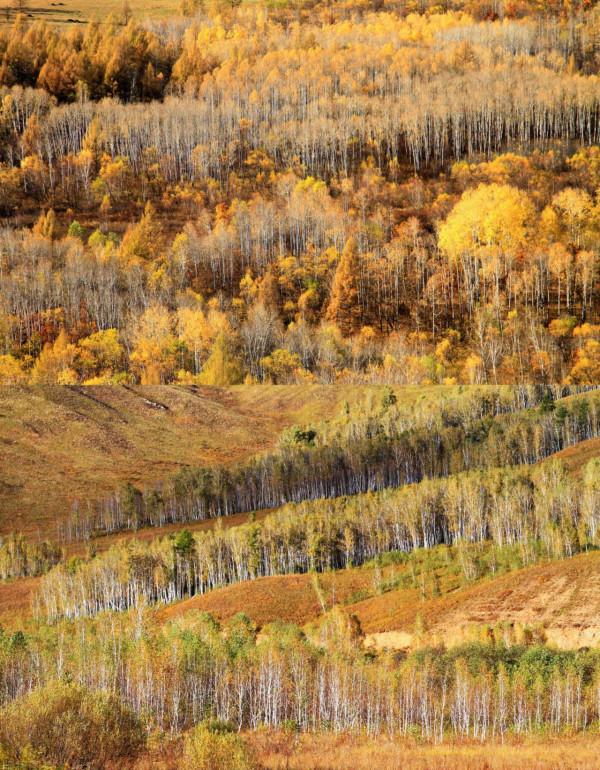 來來來，沒去旅行不要緊！看完這些圖，你已走遍中國最美之地