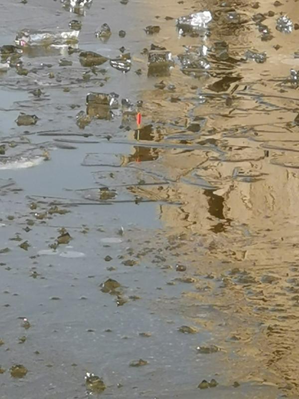 惡劣天氣也阻擋不了釣魚人的腳步，餵魚時刻準備著……