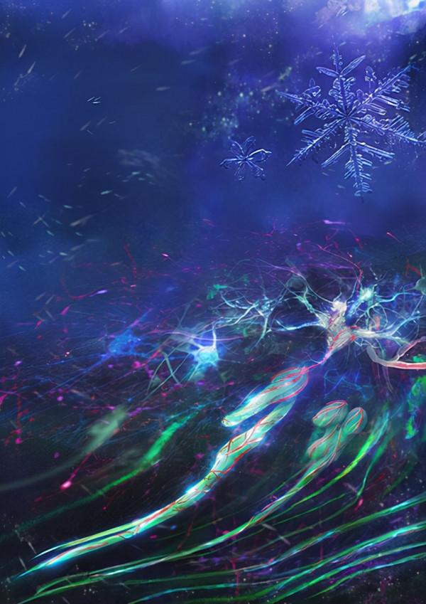 牙齒是如何感受寒冷的？