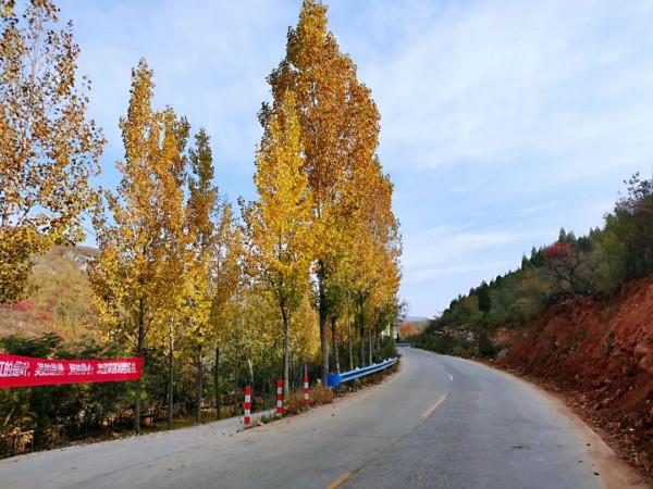 太喜歡秋天啦，帶你看紅葉奇觀