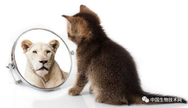 壓力太大，心情太差？那就去照照鏡子啟用“獎勵途徑”...